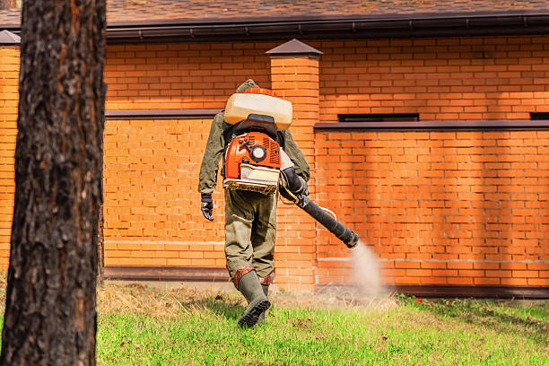 Trusted Termite Control service in Essex, MD - Nex Pest Control